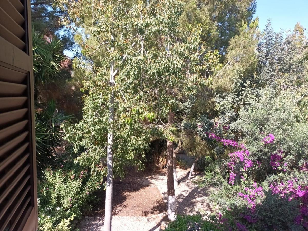 Limnaria Deluxe Maisonette Paphos 外观 照片